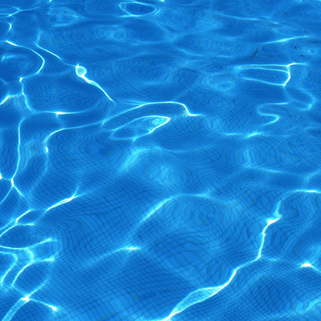 Dive into Swimvember at The Olympic Pools and Fitness Centre!